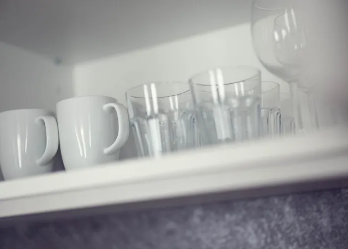 Leonart Living 14 公寓 格拉茨